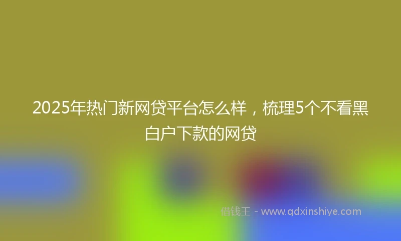 2025年热门新网贷平台怎么样，梳理5个不看黑白户下款的网贷