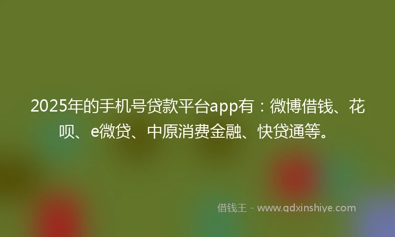 2025年的手机号贷款平台app有：微博借钱、花呗、e微贷、中原消费金融、快贷通等。