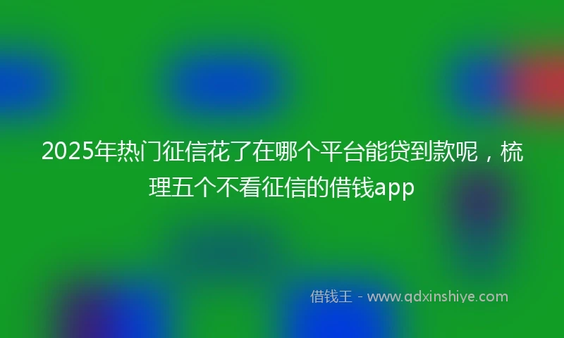 2025年热门征信花了在哪个平台能贷到款呢，梳理五个不看征信的借钱app