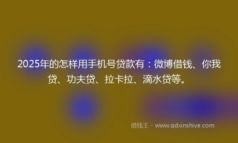 2025年的怎样用手机号贷款有：微博借钱、你我贷、功夫贷、拉卡拉、滴水贷等。
