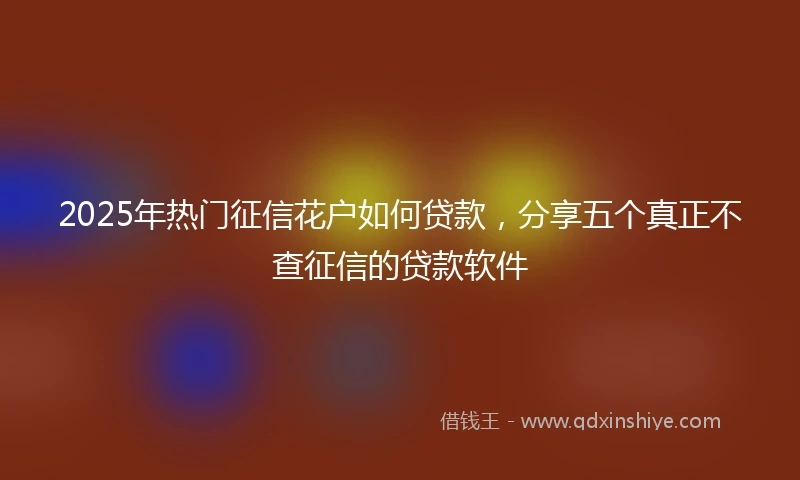 2025年热门征信花户如何贷款，分享五个真正不查征信的贷款软件