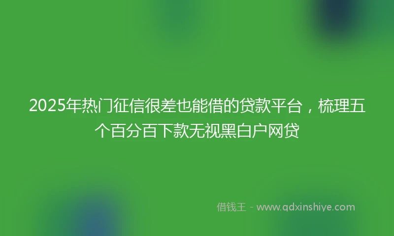 2025年热门征信很差也能借的贷款平台，梳理五个百分百下款无视黑白户网贷