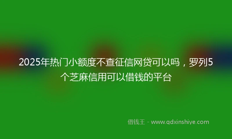 2025年热门小额度不查征信网贷可以吗，罗列5个芝麻信用可以借钱的平台