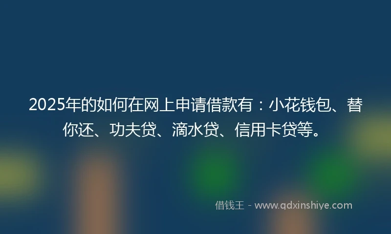 2025年的如何在网上申请借款有：小花钱包、替你还、功夫贷、滴水贷、信用卡贷等。