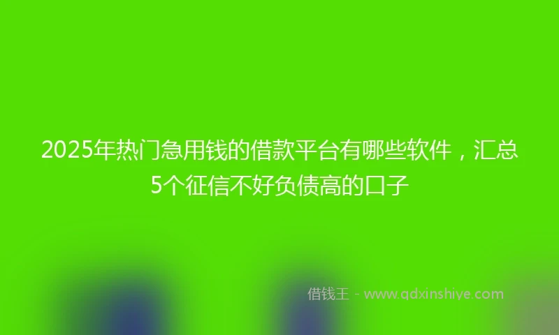 2025年热门急用钱的借款平台有哪些软件，汇总5个征信不好负债高的口子