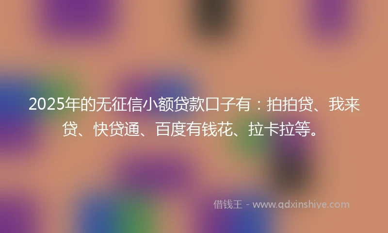 2025年的无征信小额贷款口子有：拍拍贷、我来贷、快贷通、百度有钱花、拉卡拉等。