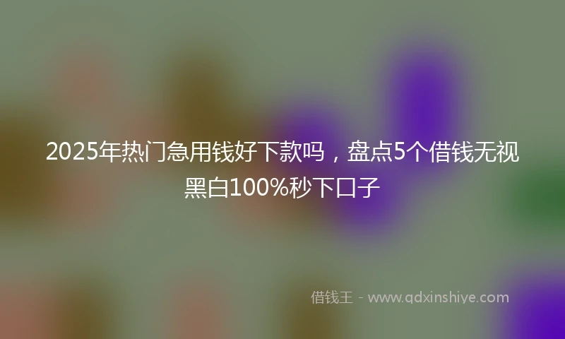2025年热门急用钱好下款吗，盘点5个借钱无视黑白100%秒下口子
