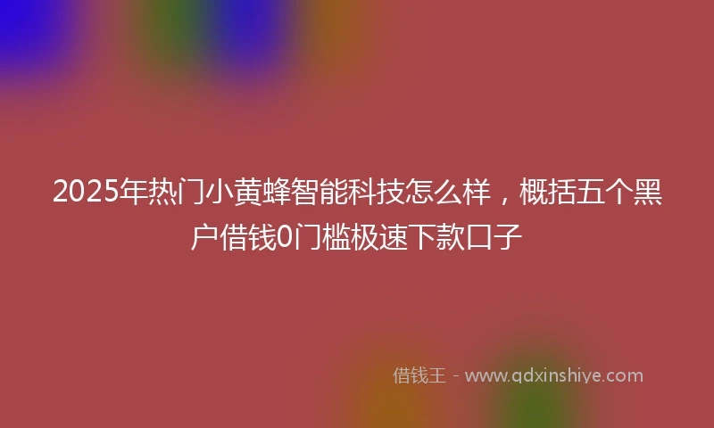 2025年热门小黄蜂智能科技怎么样，概括五个黑户借钱0门槛极速下款口子