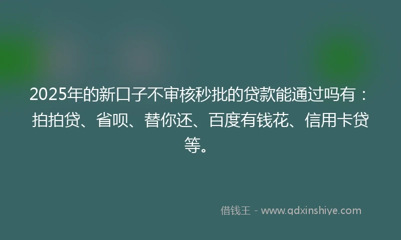 2025年的新口子不审核秒批的贷款能通过吗有：拍拍贷、省呗、替你还、百度有钱花、信用卡贷等。