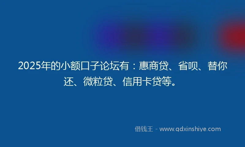 2025年的小额口子论坛有：惠商贷、省呗、替你还、微粒贷、信用卡贷等。