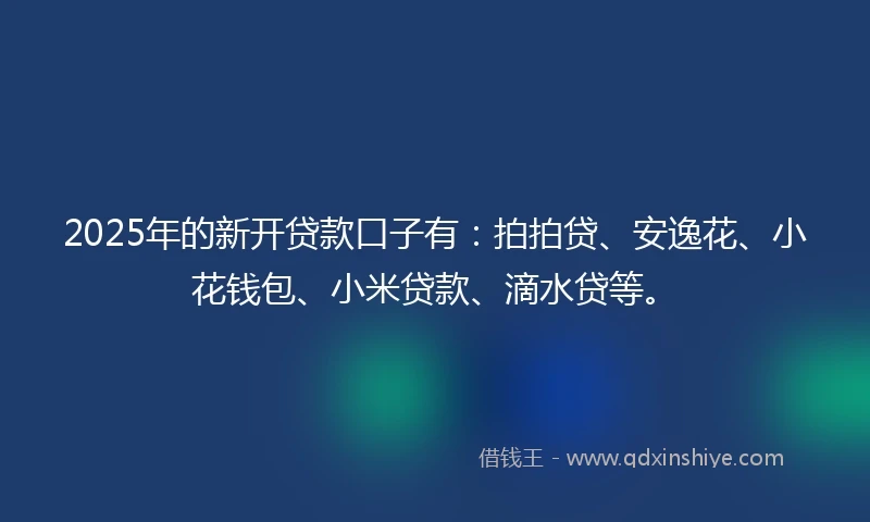 2025年的新开贷款口子有：拍拍贷、安逸花、小花钱包、小米贷款、滴水贷等。