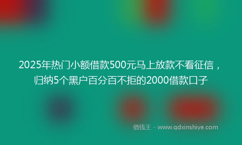 2025年热门小额借款500元马上放款不看征信，归纳5个黑户百分百不拒的2000借款口子
