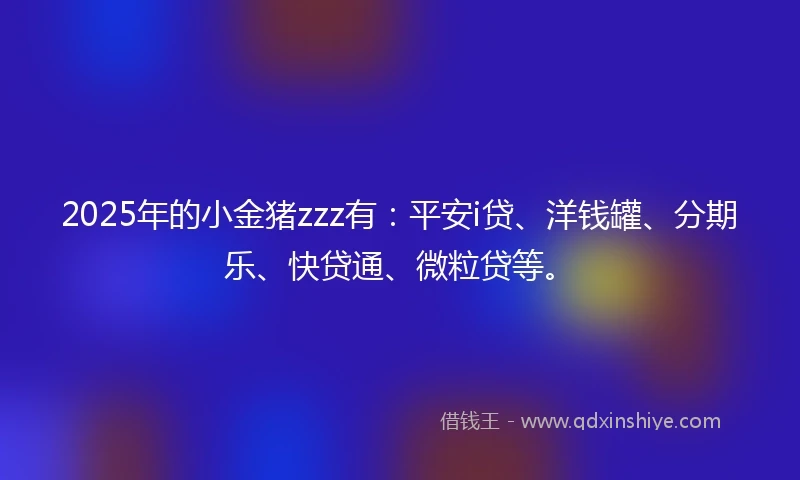 2025年的小金猪zzz有：平安i贷、洋钱罐、分期乐、快贷通、微粒贷等。