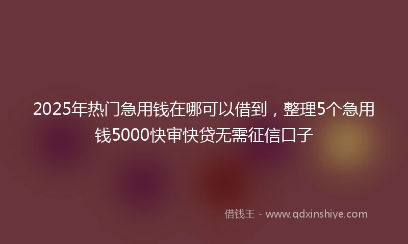 2025年热门急用钱在哪可以借到，整理5个急用钱5000快审快贷无需征信口子