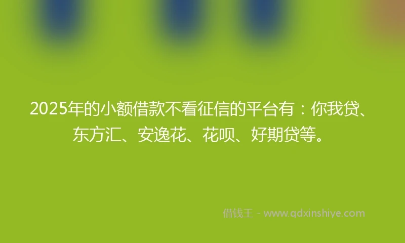2025年的小额借款不看征信的平台有：你我贷、东方汇、安逸花、花呗、好期贷等。