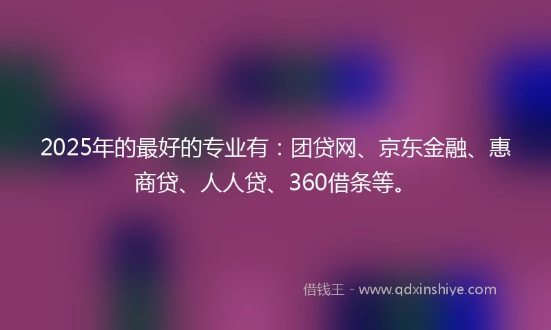 2025年的最好的专业有：团贷网、京东金融、惠商贷、人人贷、360借条等。