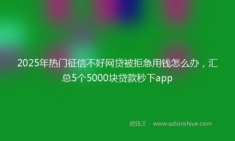 2025年热门征信不好网贷被拒急用钱怎么办，汇总5个5000块贷款秒下app