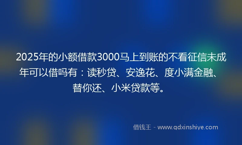 2025年的小额借款3000马上到账的不看征信未成年可以借吗有：读秒贷、安逸花、度小满金融、替你还、小米贷款等。