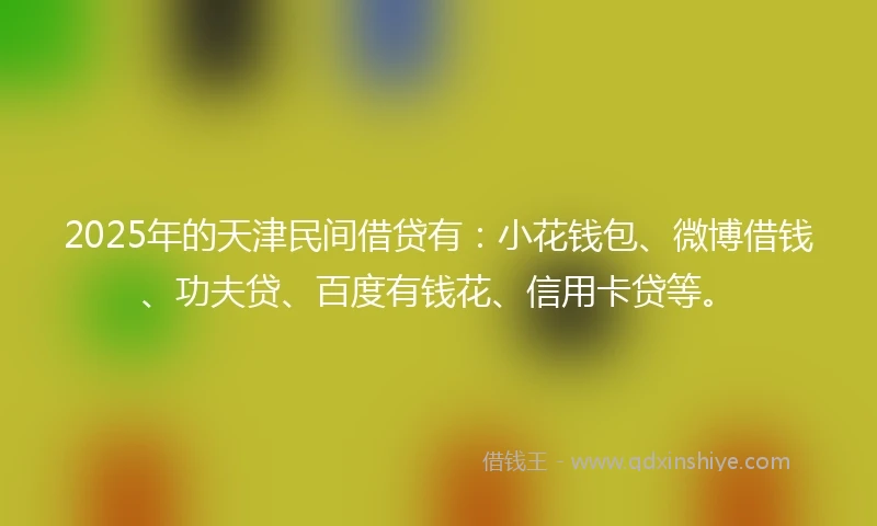 2025年的天津民间借贷有：小花钱包、微博借钱、功夫贷、百度有钱花、信用卡贷等。