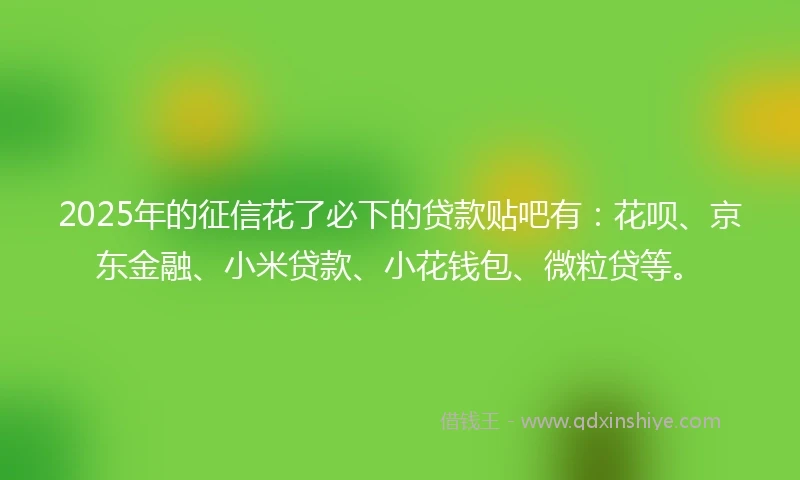 2025年的征信花了必下的贷款贴吧有：花呗、京东金融、小米贷款、小花钱包、微粒贷等。