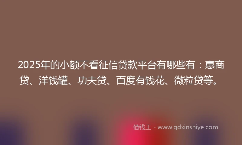 2025年的小额不看征信贷款平台有哪些有：惠商贷、洋钱罐、功夫贷、百度有钱花、微粒贷等。