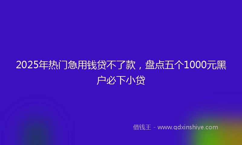 2025年热门急用钱贷不了款，盘点五个1000元黑户必下小贷