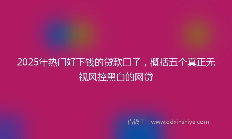 2025年热门好下钱的贷款口子，概括五个真正无视风控黑白的网贷