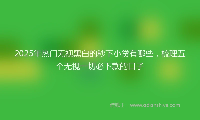 2025年热门无视黑白的秒下小贷有哪些，梳理五个无视一切必下款的口子