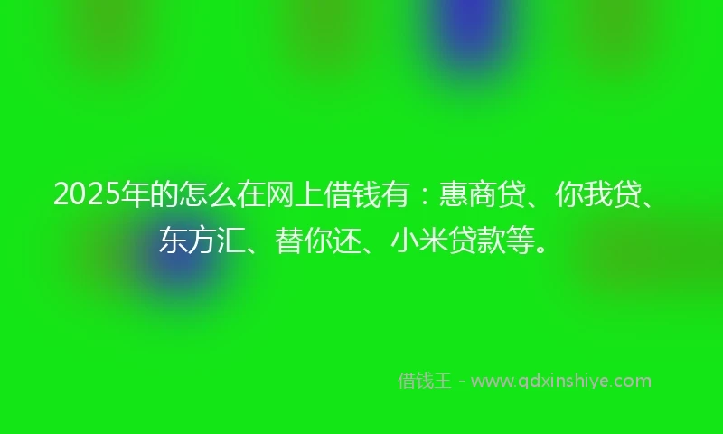 2025年的怎么在网上借钱有：惠商贷、你我贷、东方汇、替你还、小米贷款等。