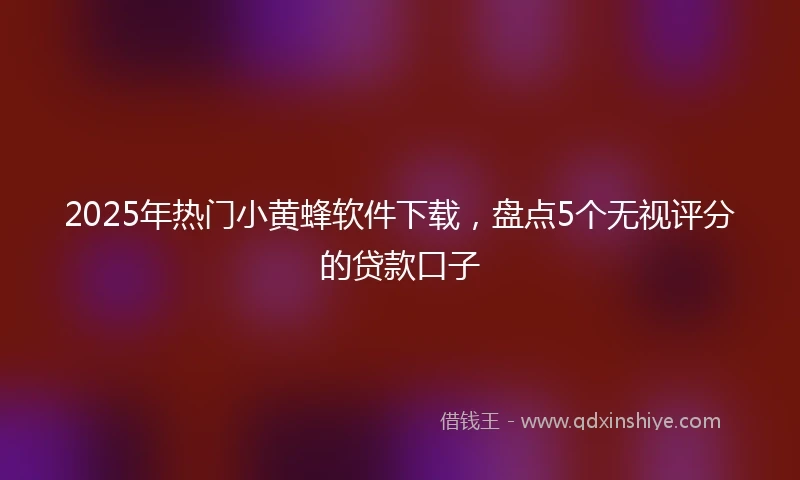 2025年热门小黄蜂软件下载，盘点5个无视评分的贷款口子