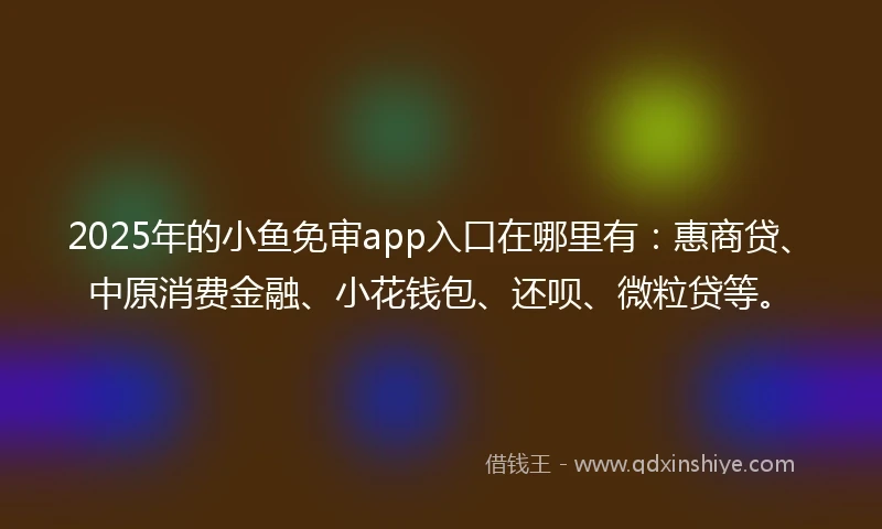 2025年的小鱼免审app入口在哪里有：惠商贷、中原消费金融、小花钱包、还呗、微粒贷等。