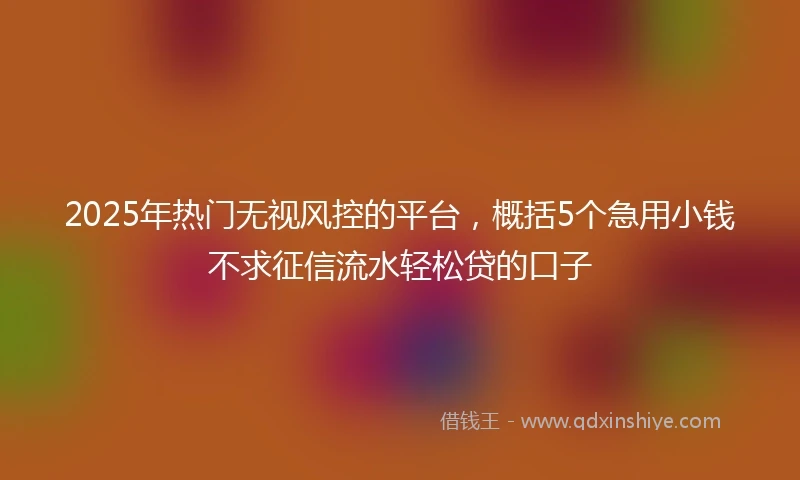 2025年热门无视风控的平台，概括5个急用小钱不求征信流水轻松贷的口子