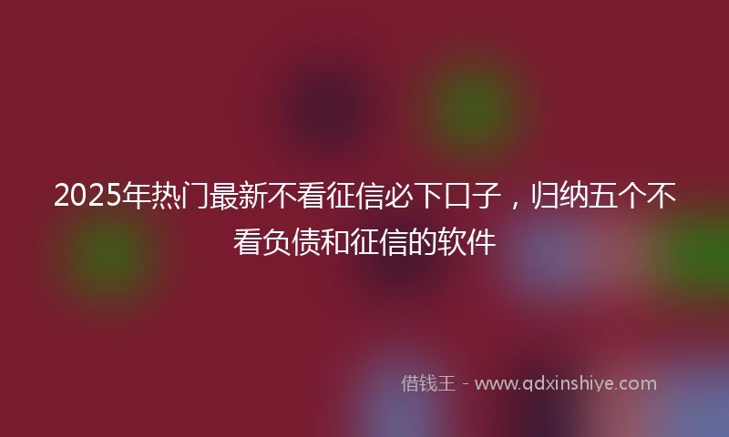 2025年热门最新不看征信必下口子，归纳五个不看负债和征信的软件