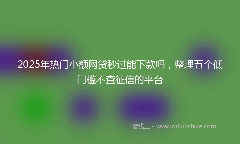 2025年热门小额网贷秒过能下款吗，整理五个低门槛不查征信的平台