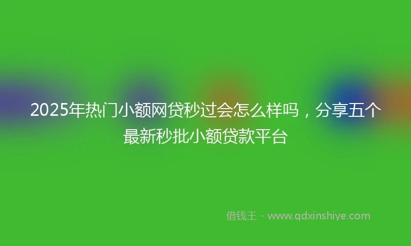 2025年热门小额网贷秒过会怎么样吗，分享五个最新秒批小额贷款平台