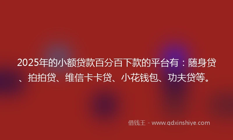 2025年的小额贷款百分百下款的平台有：随身贷、拍拍贷、维信卡卡贷、小花钱包、功夫贷等。