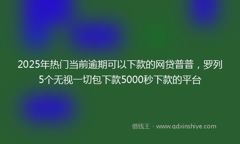 2025年热门当前逾期可以下款的网贷普普，罗列5个无视一切包下款5000秒下款的平台
