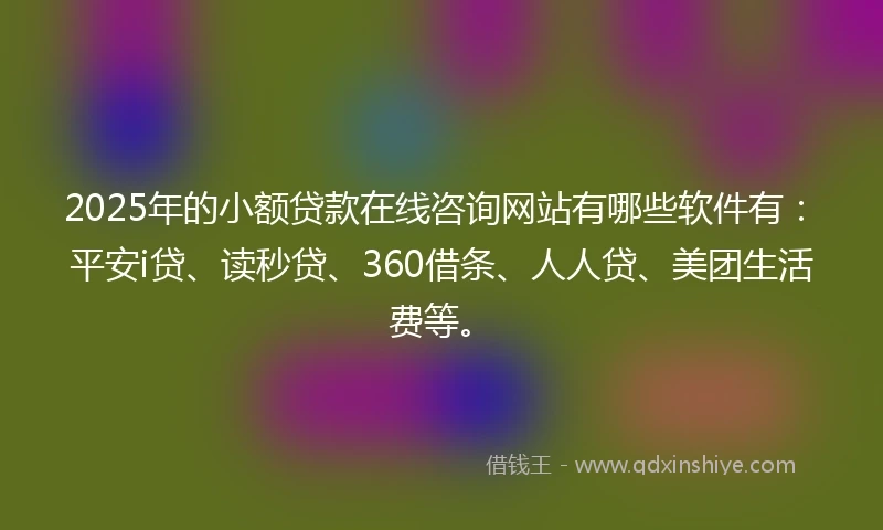 2025年的小额贷款在线咨询网站有哪些软件有：平安i贷、读秒贷、360借条、人人贷、美团生活费等。