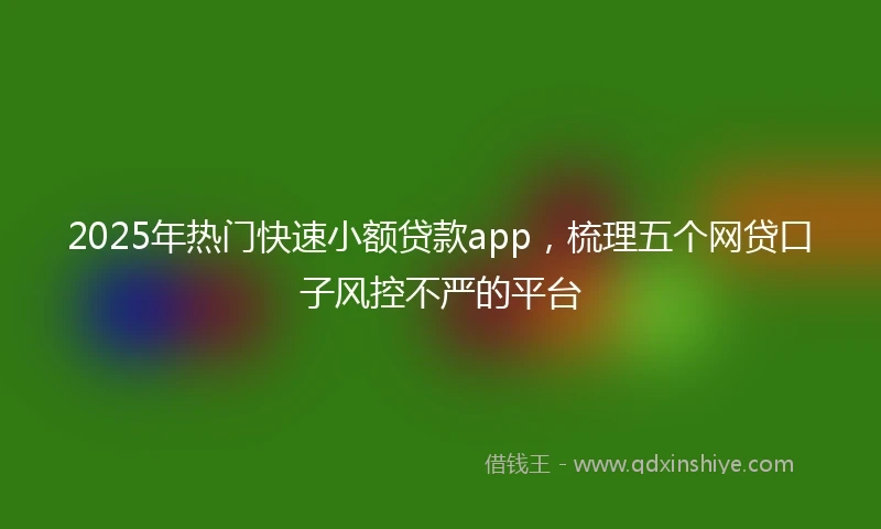 2025年热门快速小额贷款app,梳理五个网贷口子风控不严的平台