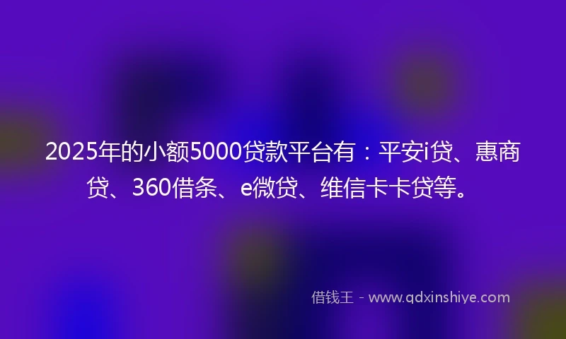 2025年的小额5000贷款平台有：平安i贷、惠商贷、360借条、e微贷、维信卡卡贷等。