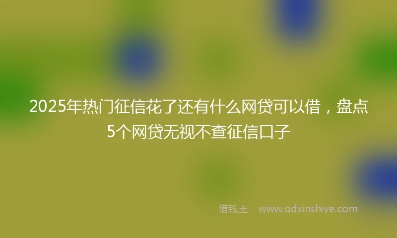 2025年热门征信花了还有什么网贷可以借，盘点5个网贷无视不查征信口子