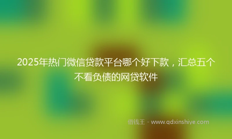 2025年热门微信贷款平台哪个好下款，汇总五个不看负债的网贷软件