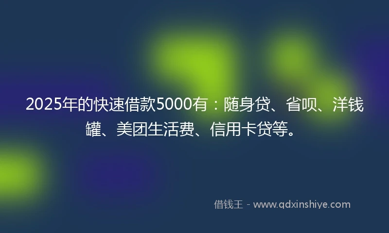 2025年的快速借款5000有：随身贷、省呗、洋钱罐、美团生活费、信用卡贷等。