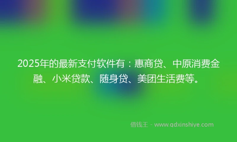 2025年的最新支付软件有：惠商贷、中原消费金融、小米贷款、随身贷、美团生活费等。