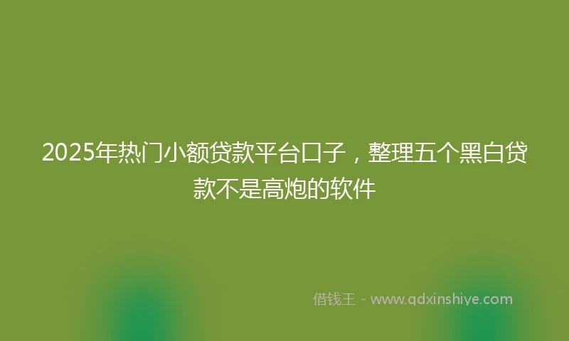 2025年热门小额贷款平台口子，整理五个黑白贷款不是高炮的软件