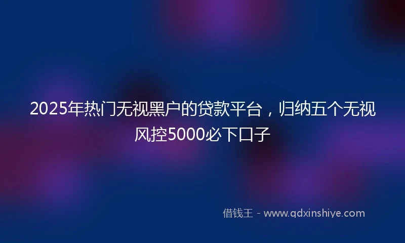 2025年热门无视黑户的贷款平台，归纳五个无视风控5000必下口子