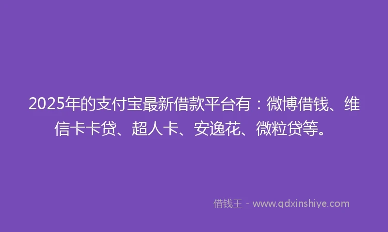 2025年的支付宝最新借款平台有：微博借钱、维信卡卡贷、超人卡、安逸花、微粒贷等。