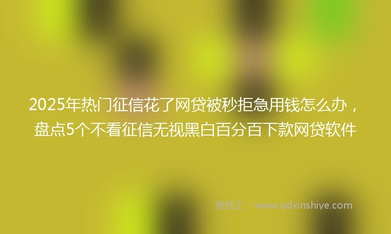 2025年热门征信花了网贷被秒拒急用钱怎么办，盘点5个不看征信无视黑白百分百下款网贷软件