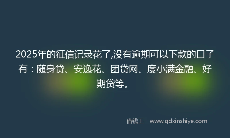 2025年的征信记录花了,没有逾期可以下款的口子有：随身贷、安逸花、团贷网、度小满金融、好期贷等。