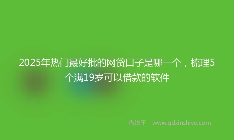 2025年热门最好批的网贷口子是哪一个，梳理5个满19岁可以借款的软件